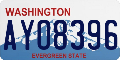 WA license plate AYO8396