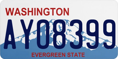 WA license plate AYO8399
