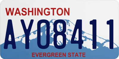 WA license plate AYO8411