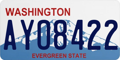 WA license plate AYO8422