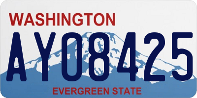 WA license plate AYO8425