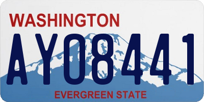 WA license plate AYO8441