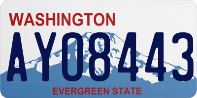 WA license plate AYO8443