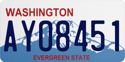 WA license plate AYO8451