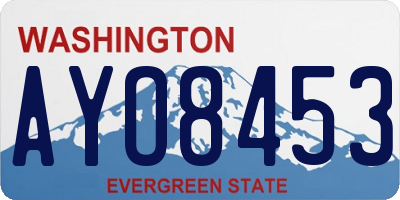 WA license plate AYO8453
