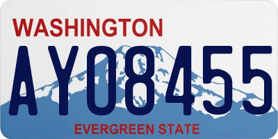 WA license plate AYO8455