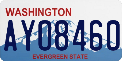 WA license plate AYO8460