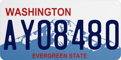 WA license plate AYO8480