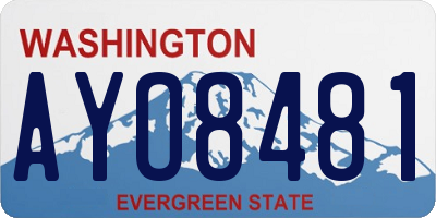 WA license plate AYO8481