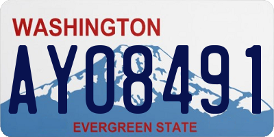 WA license plate AYO8491