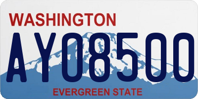 WA license plate AYO8500