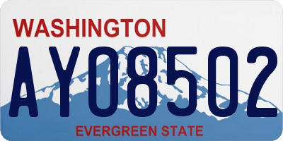 WA license plate AYO8502