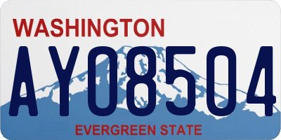 WA license plate AYO8504