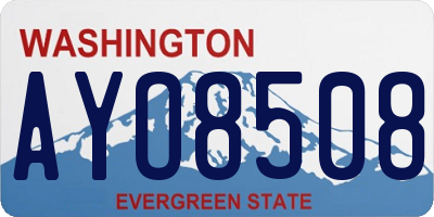 WA license plate AYO8508