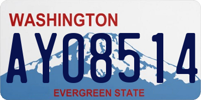 WA license plate AYO8514