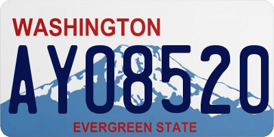 WA license plate AYO8520