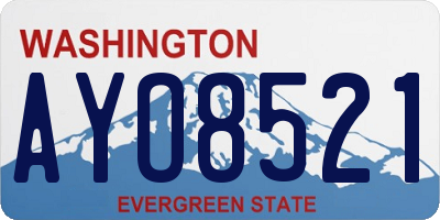 WA license plate AYO8521