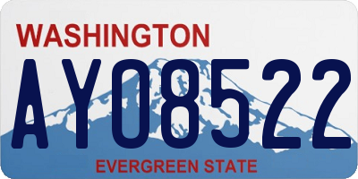 WA license plate AYO8522