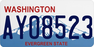 WA license plate AYO8523