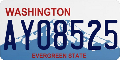 WA license plate AYO8525