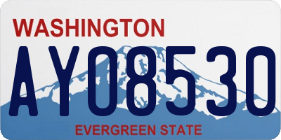 WA license plate AYO8530