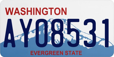 WA license plate AYO8531