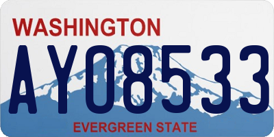 WA license plate AYO8533