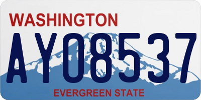 WA license plate AYO8537