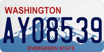 WA license plate AYO8539