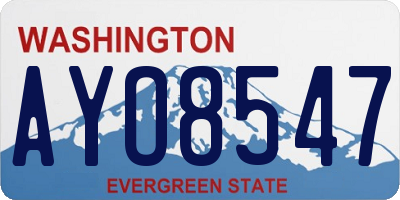 WA license plate AYO8547