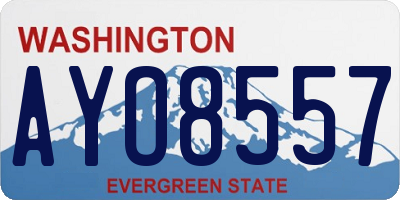 WA license plate AYO8557