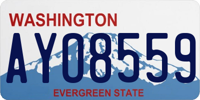 WA license plate AYO8559