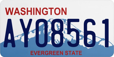 WA license plate AYO8561