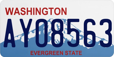 WA license plate AYO8563
