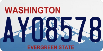WA license plate AYO8578
