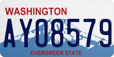 WA license plate AYO8579