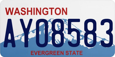 WA license plate AYO8583