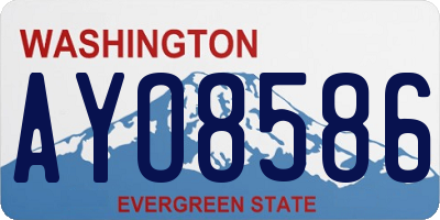 WA license plate AYO8586