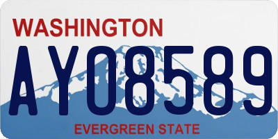 WA license plate AYO8589