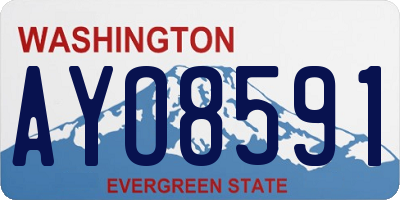 WA license plate AYO8591
