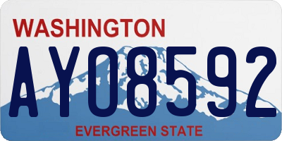 WA license plate AYO8592