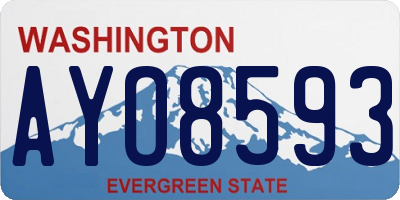 WA license plate AYO8593