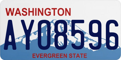 WA license plate AYO8596