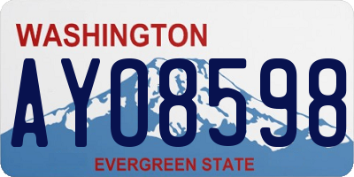 WA license plate AYO8598