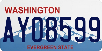 WA license plate AYO8599