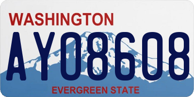 WA license plate AYO8608