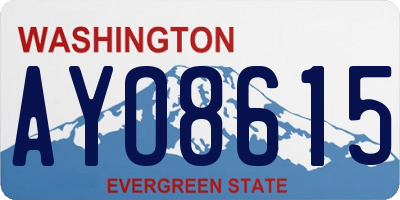 WA license plate AYO8615