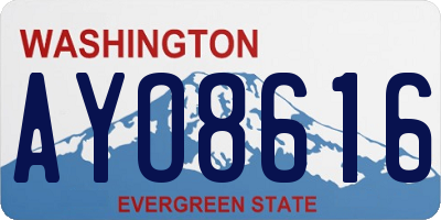 WA license plate AYO8616