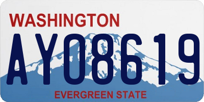 WA license plate AYO8619