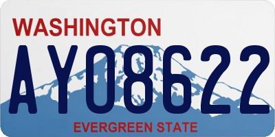 WA license plate AYO8622